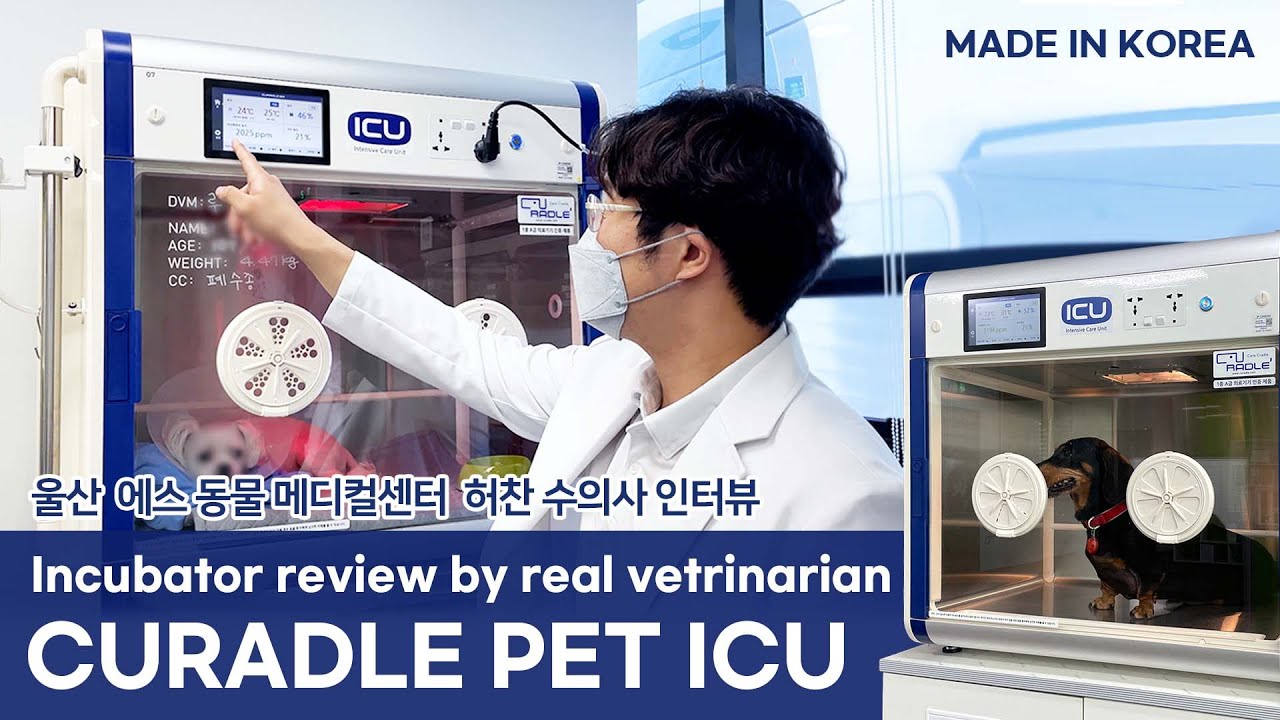 World class facilities, Veterinary clinic !! Animal hospital tour in South korea.