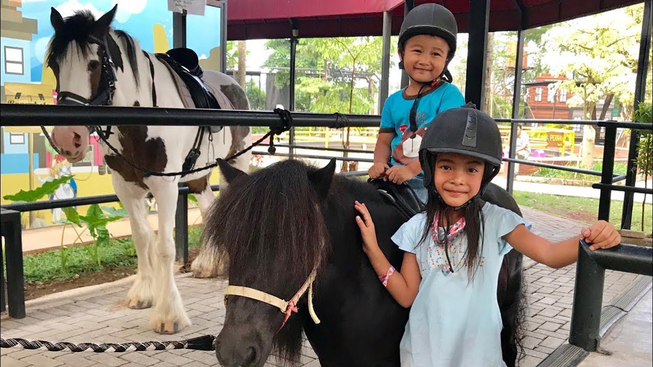 Zara Cute kasih Makan dan Naik Kuda di Branchsto | Fakta tentang Hewan Kuda | Wisata Edukasi
