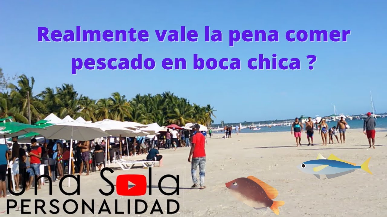 NO VAS A CREER LO QUE EN REALIDAD CUESTA  UN PESCADO EN BOCA CHICA.
