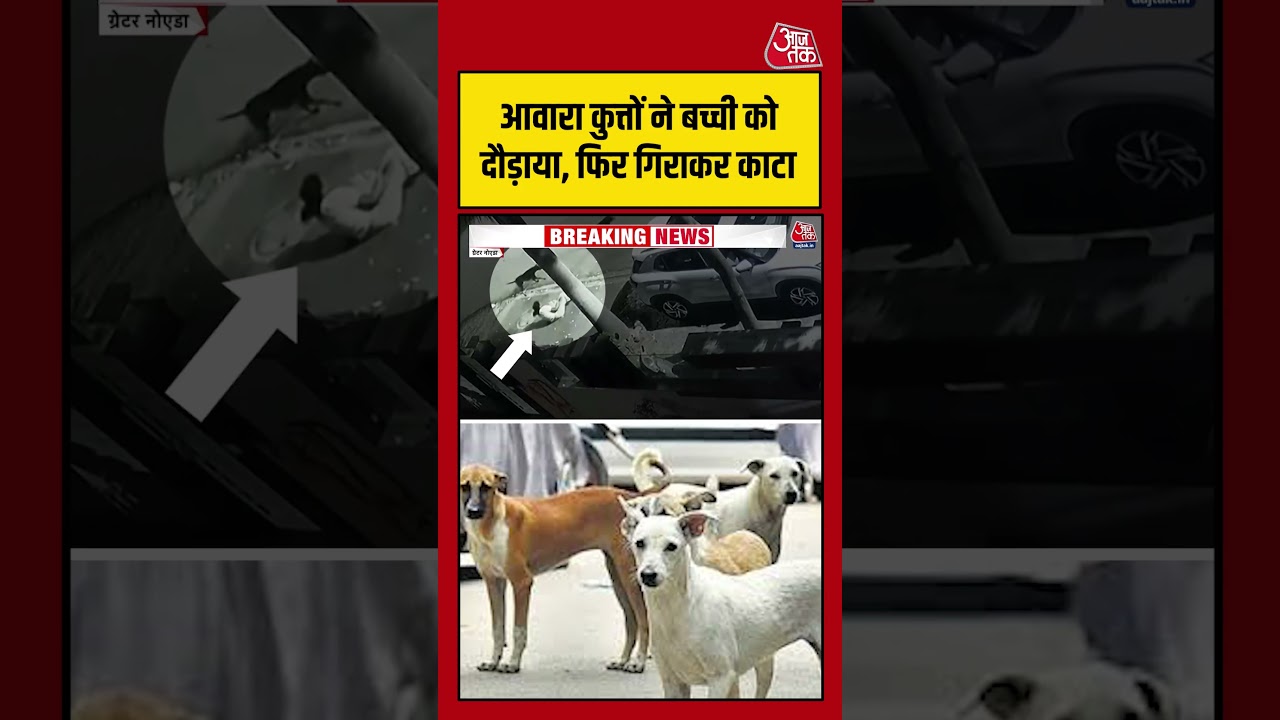 Greater Noida में आवारा कुत्तों ने बच्ची को दौड़ाया, फिर गिराकर काटा #aajtak #shorts #streetdogs