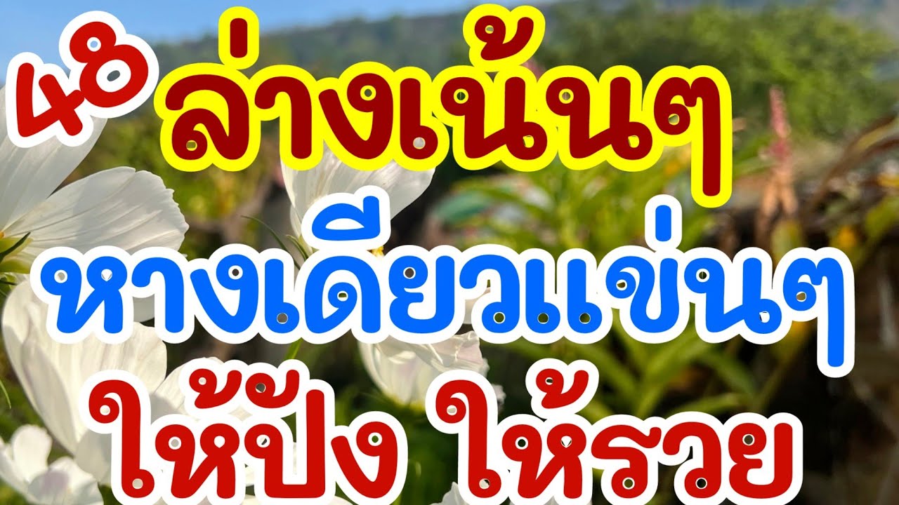 ล่างเน้นๆ หางเดียวแข่นๆ ให้ปัง ให้รวย 16 ก.พ. 69 [EP.4]