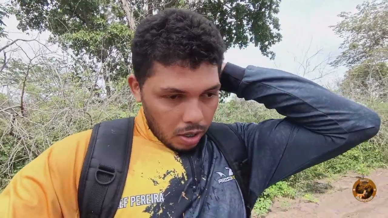 A PLANTAÇÃO DE MILHO NA ROÇA, O RESULTADO DA CEVA,GRANDE CACHORRO DO MATO NA CERVA..