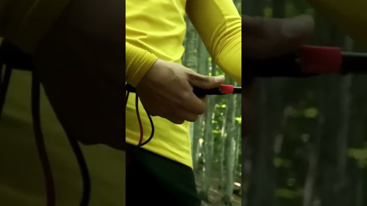 Effortlessly Cut Through Trees with this Folding Saw | Azengear