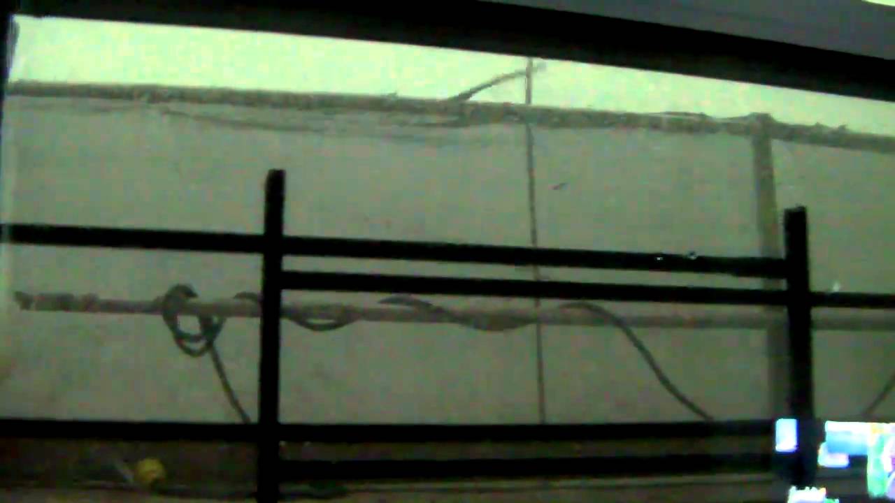 Brooklyn-storm-2010-09-16  (Tornado)