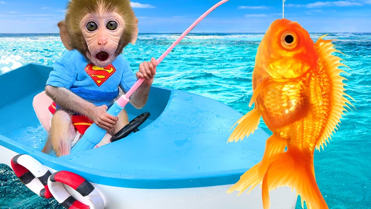 🔴LIVE – Baby monkey Bon Bon goes to the supermarket to buy kitchen utensils and eats eggs with puppy