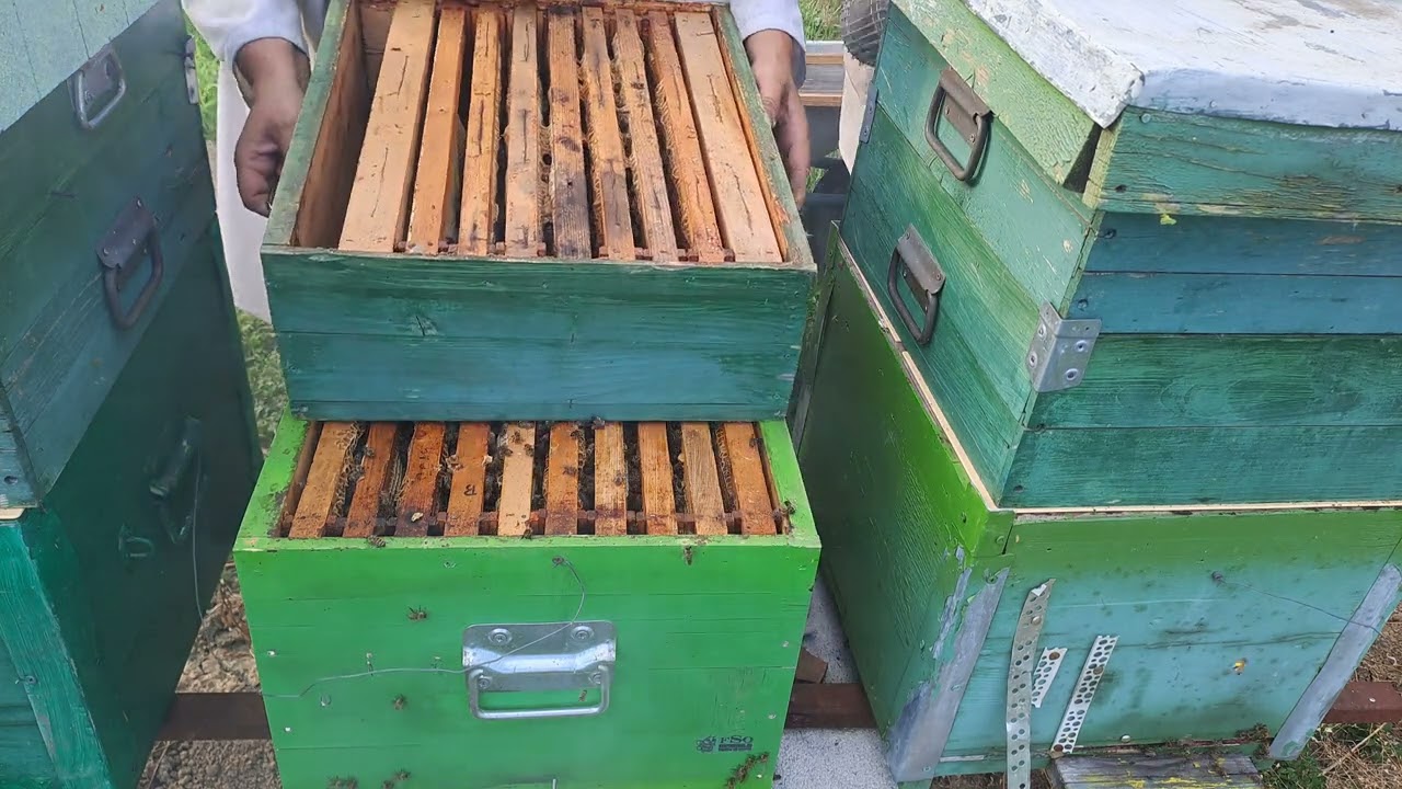 Lipsă  ventilație  schimb  lăzile.