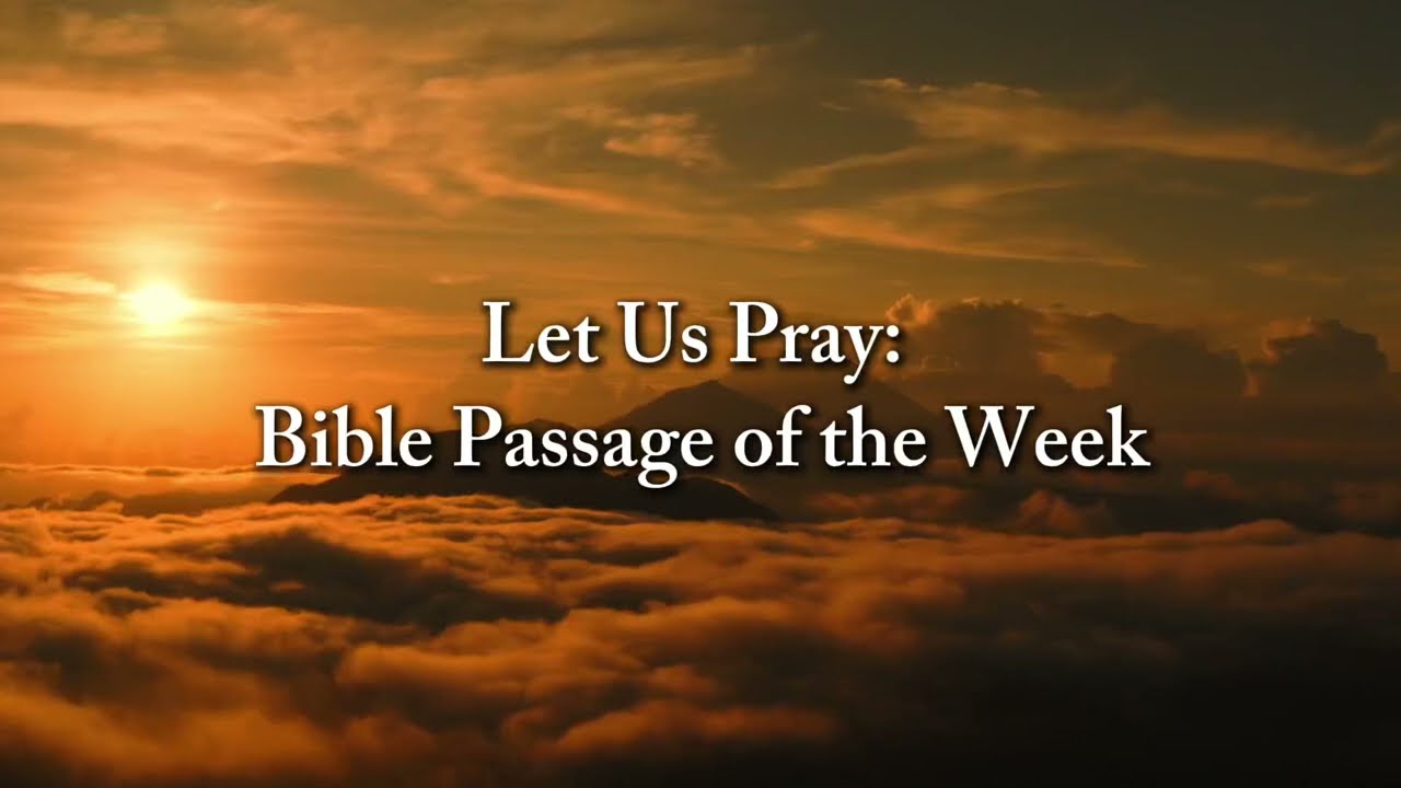 Bible Passage of the Week - 1 Peter 2:24-25 🙏