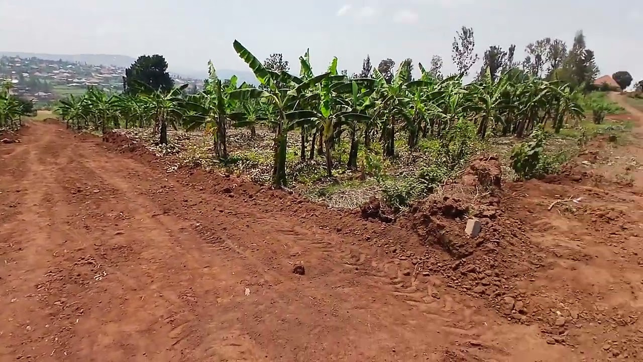 0788516588 House for sale million 9m muyumbu  ikibanza kigurishwa  cyizacyane
