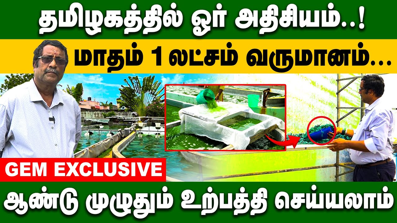 Spirulina வளர்ப்பதற்கு ஏற்ற மாநிலம் தமிழகம்...மாதம் 1 லட்சம் வருமானம்  | PART 1 | Spirulina Farming