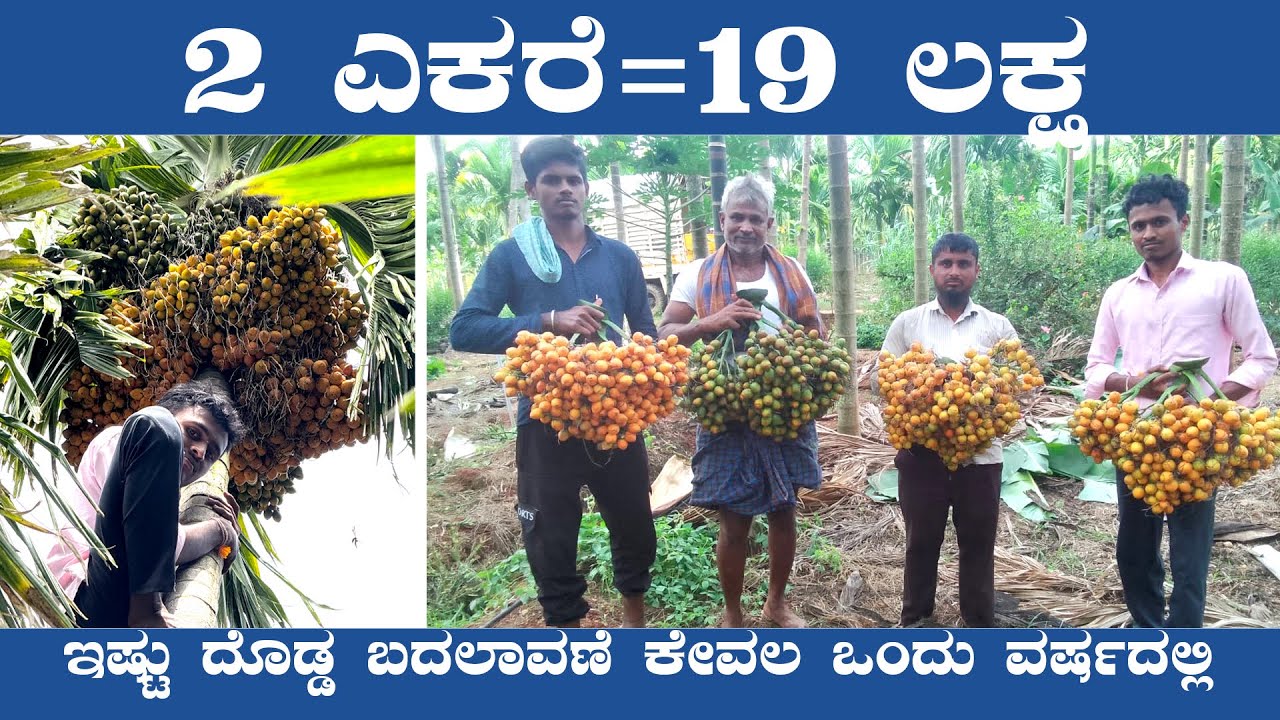 “ಈ ತೋಟ ನೋಡಿದ್ರೆ ನಿಮಗೂ ನಂಬಲಾಗೋದಿಲ್ಲ 😳 | ಕೃಣುಪಜಲ + ದಶಗವ್ಯ + ಕೆರನ್ = ದಾಖಲೆ ಇಳುವರಿ 🌿”