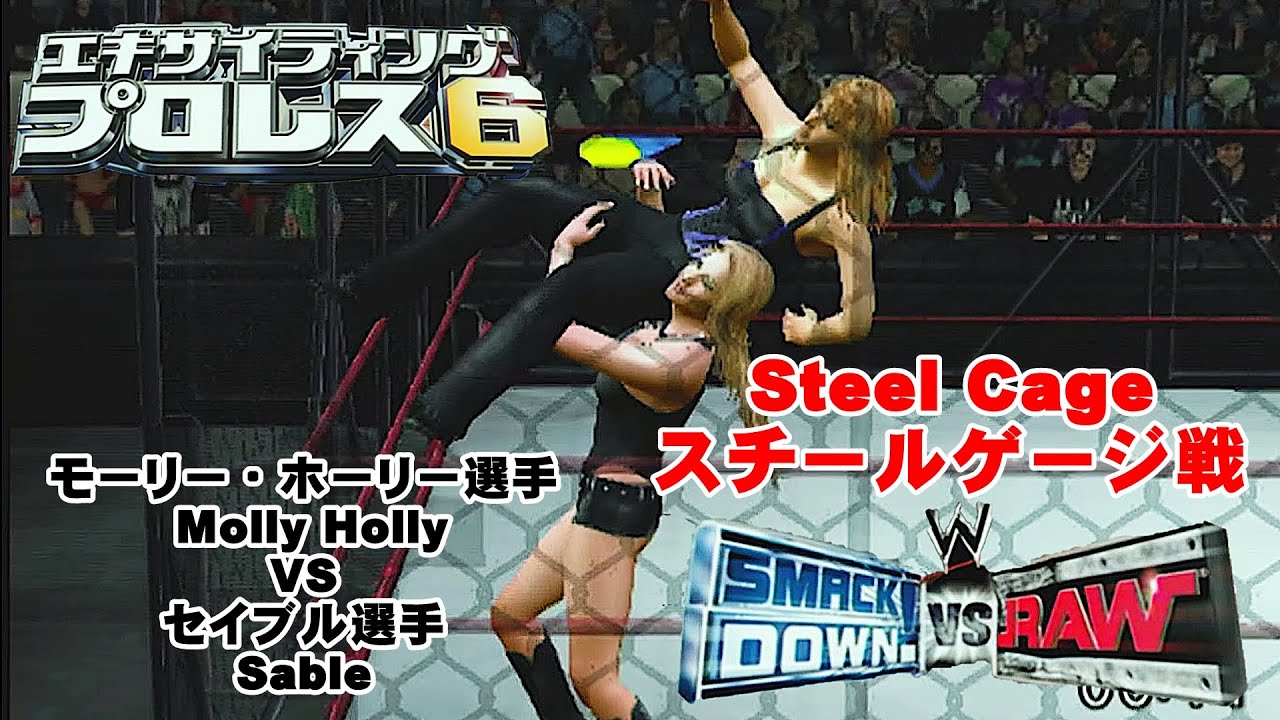 PS2🎮「エキサイティングプロレス６/SmackDown VS Raw」Steel Cage戦 　モーリー・ホーリー選手VSセイブル選手（COM観戦）