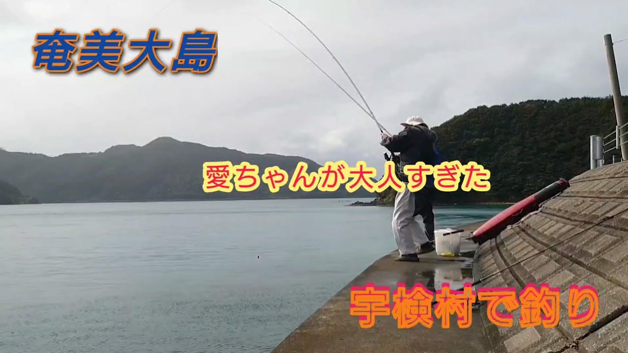 奄美大島　宇検村で釣り　愛ちゃんが大人になってた。