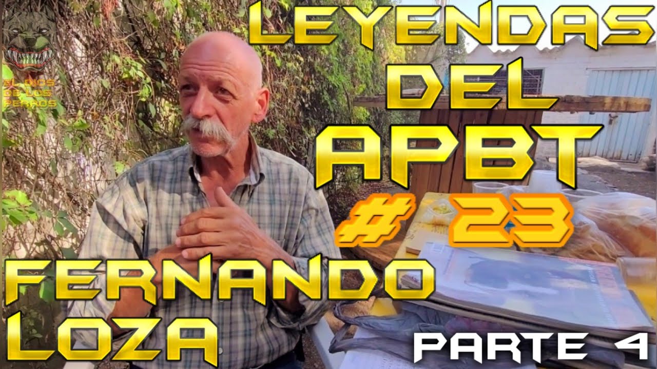 LEYENDAS DEL APBT # 23 ⭐️ Fernando Loza ⭐️ Parte 4  🎖by EL DIOS DE LOS PERROS