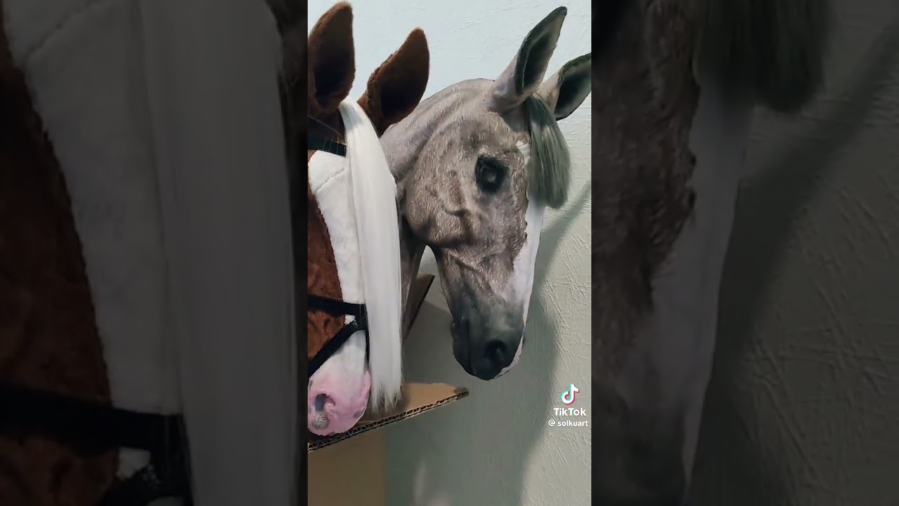 Hobby horse Tik Tok Compliaction