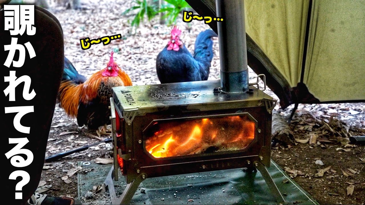 薪ストーブ×冬キャンプ🔥寒さ知らずのテントでくつろいでいたら...外から視線が!?/蓮田裏庭キャンプ場