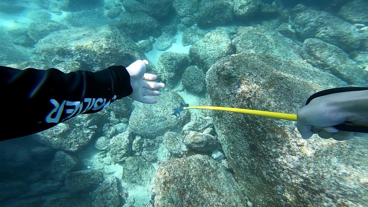 pesca con hawaiana