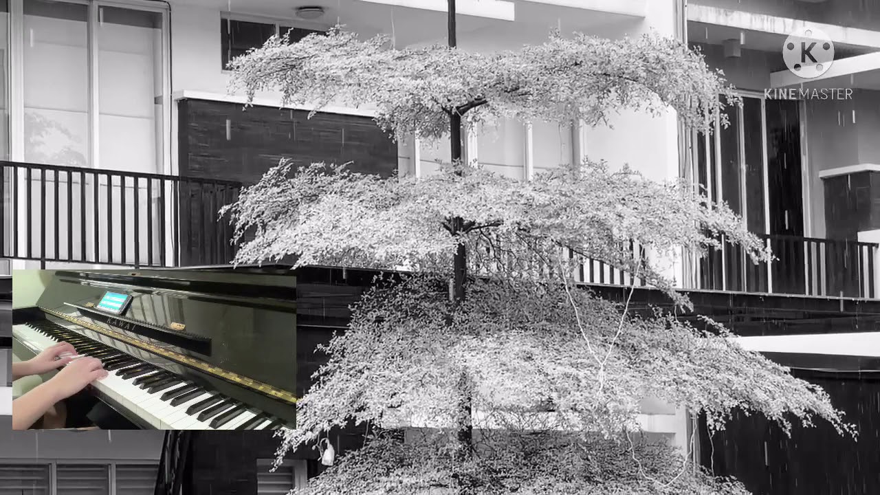 Kiss the rain-Yiruma(cover by Sam Hioe)