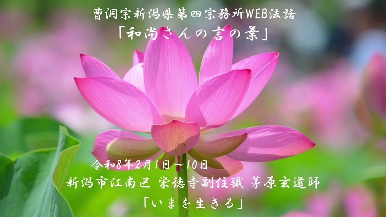 WEB法話「和尚さんの言の葉」#67