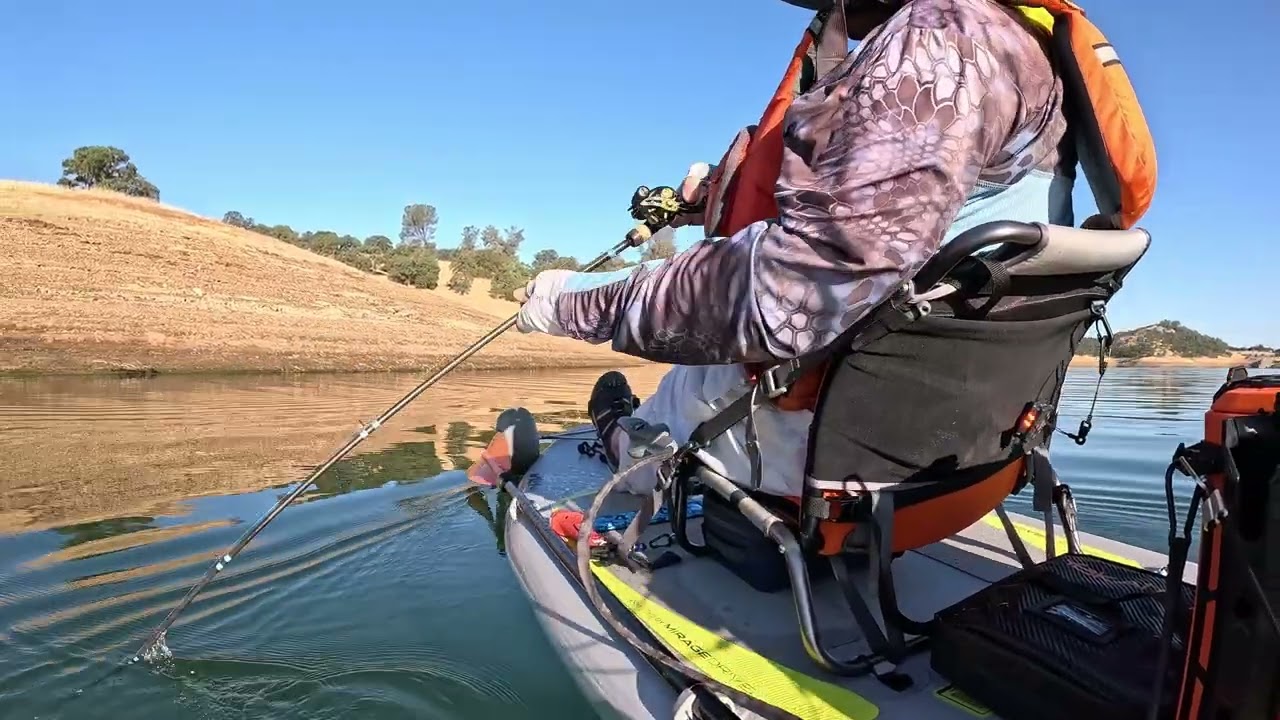 Bass Fishing New Melones Lake California 07 31 2025