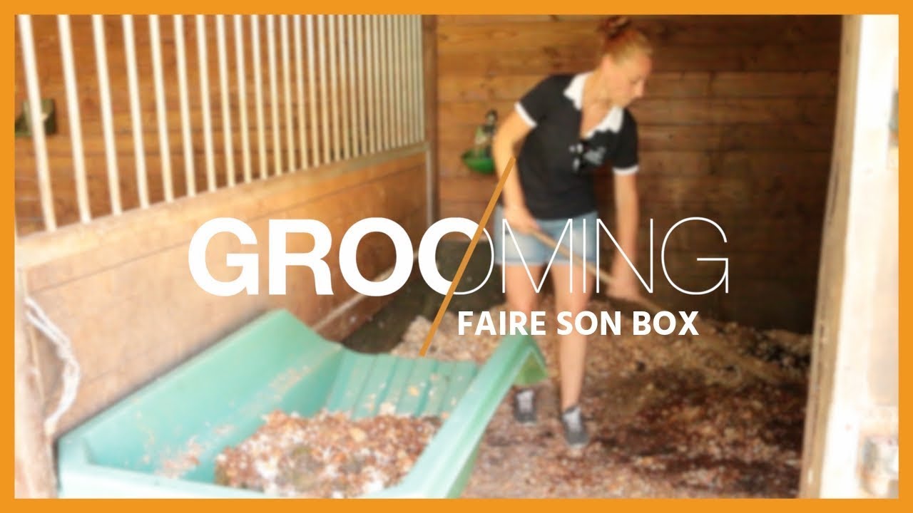 [GROOMING] Faire son box 🧹🦄