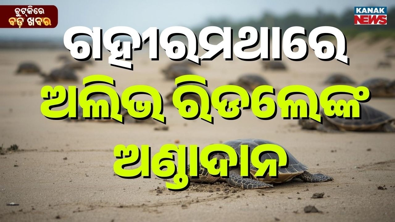 Chutkire Bada Khabar || 17th MARCH 2026 || 11AM Digital Bulletin || Kanak News