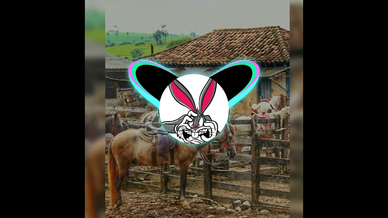 Os Modão Mais Tocado
