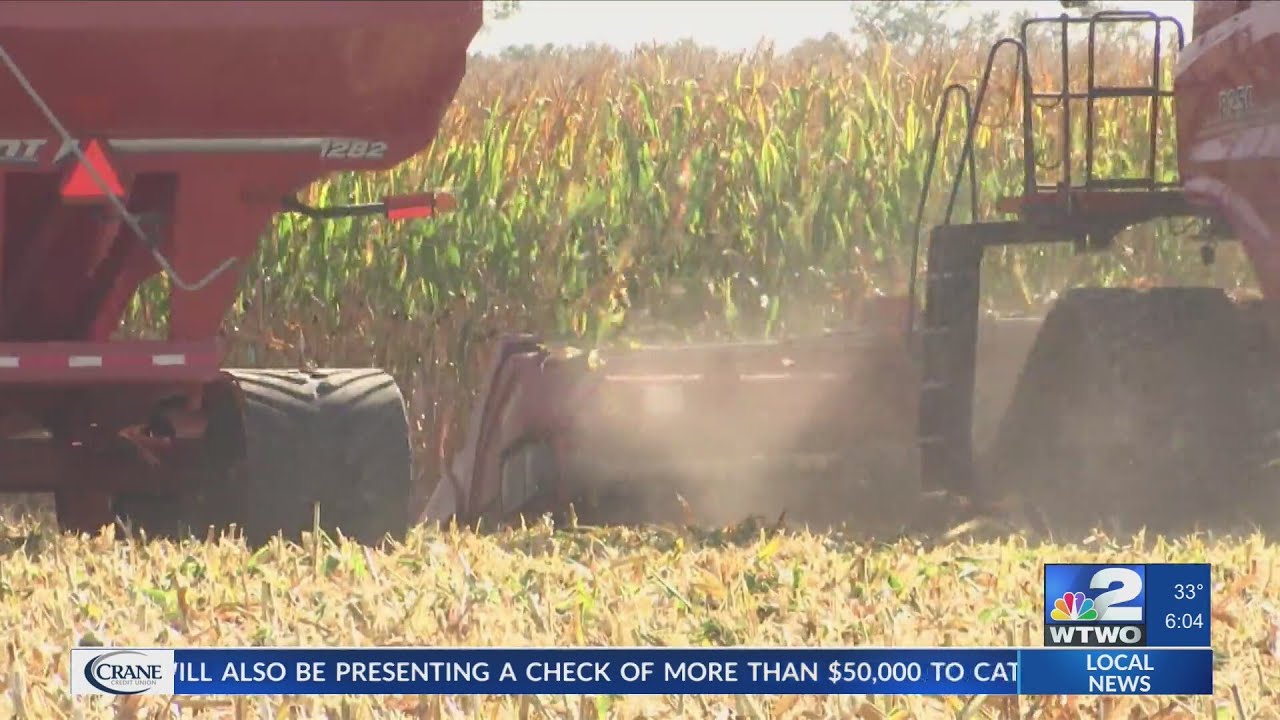 Mental health concerns grow as farmers battle financial strain
