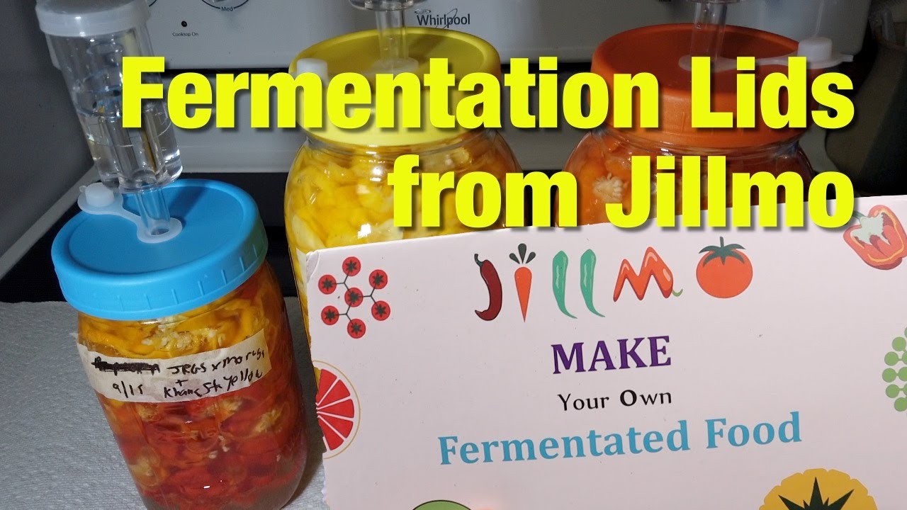 BPA free plastic fermentation lids from Jillmo
