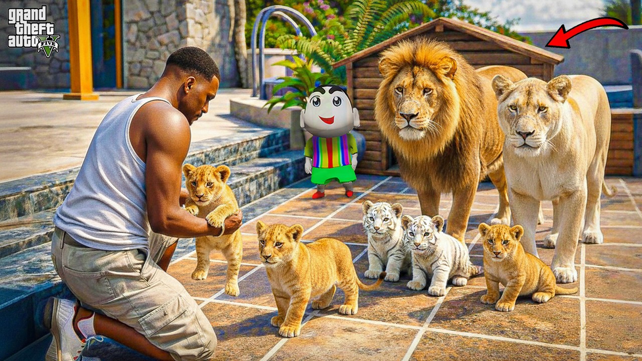 Franklin Finally Found the Rare Lion Family In GTA 5