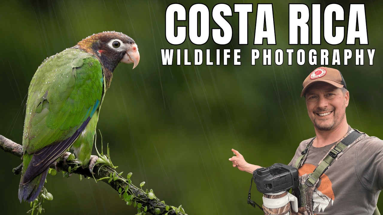 RARE BIRD!! Wildlife Photography Adventure: Caño Negro to Boca Tapada | Costa Rica’s Northern Wild