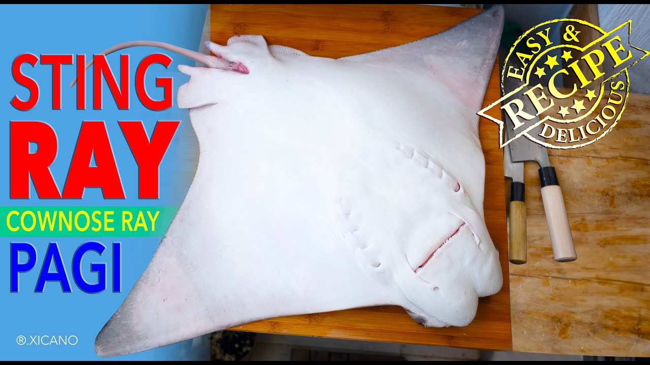 STINGRAY RECIPE || PAGI , Cownose ray