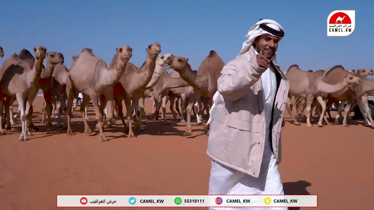 مسيرة رجل الاعمال محمد مسيفر السواط