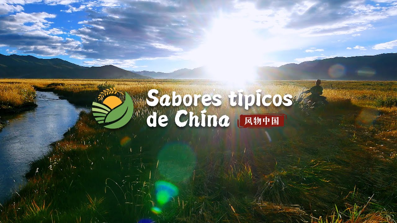 Sabores típicos de China (1): manjares de montañas y mares | Documental