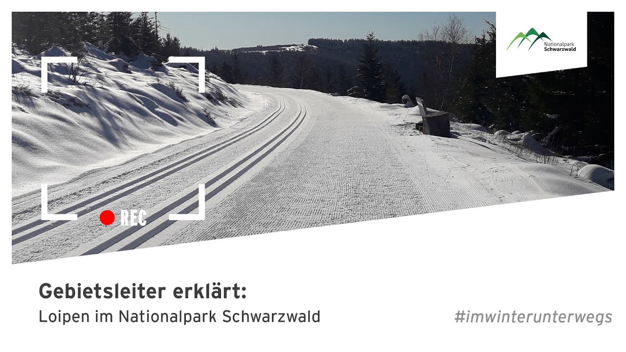 Gebietsleiter erklärt: Loipen im Nationalpark Schwarzwald