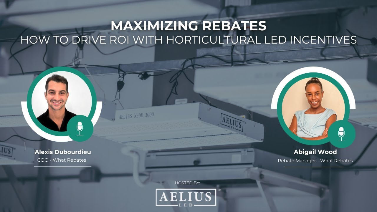 Aelius LED Dynamic Webinar Series 2025: Maximizing Rebates