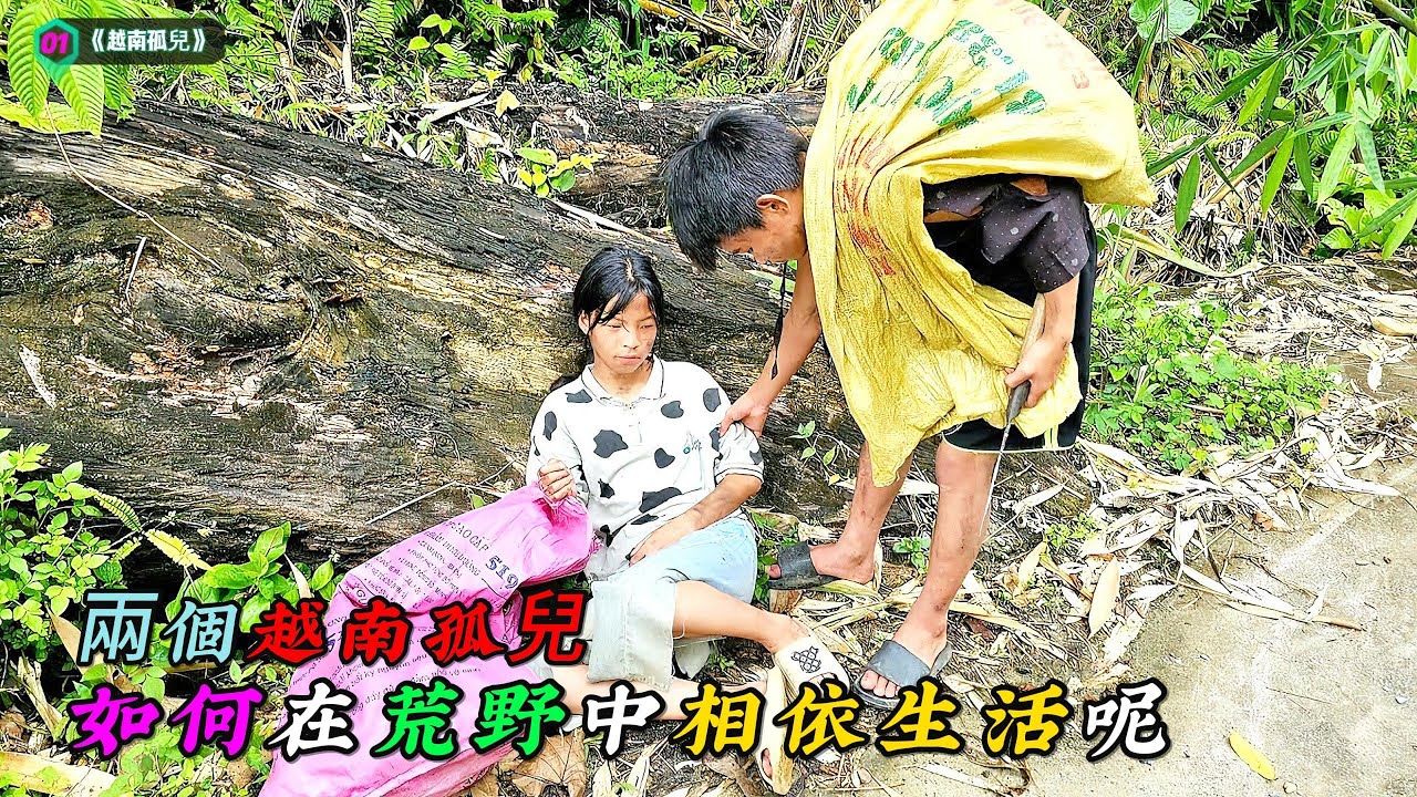 流落街頭的兩個越南孤兒，是如何在荒野中相依生活呢《越南孤兒》01