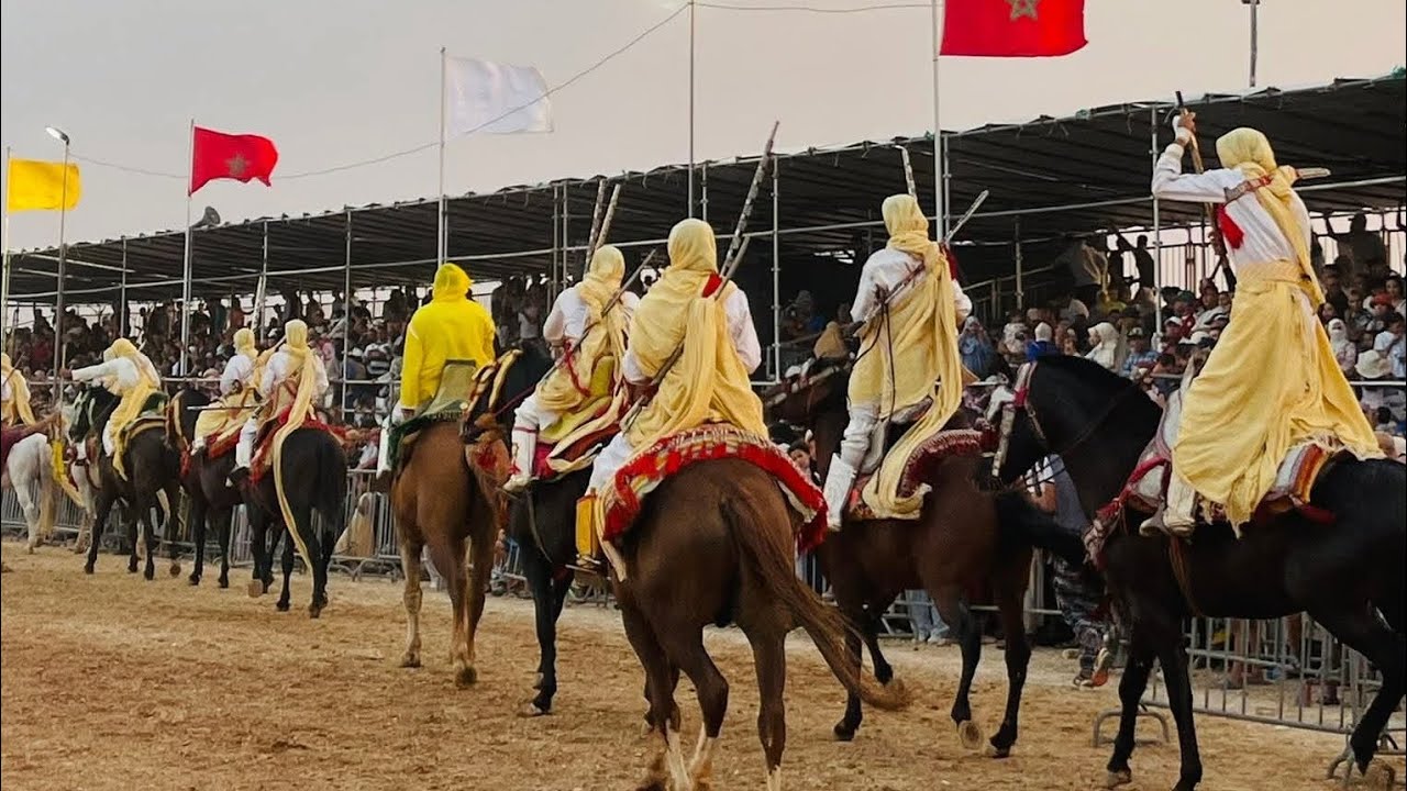 موسم وادي زم #اكسبلور#فروسية_تقليدية #2025 #وادي_زم #حصان 