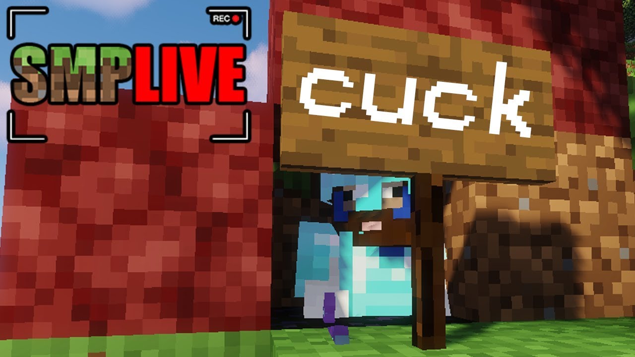THE DUMBEST SMP LIVE VIDEO