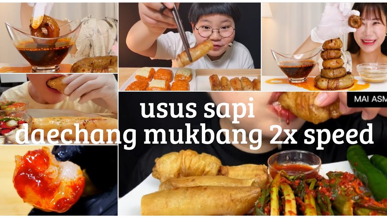 [Asmr Mukbang] Daechang Large Beef Intestines 😋🤤 Compilation 2x speed 🥢🌶️