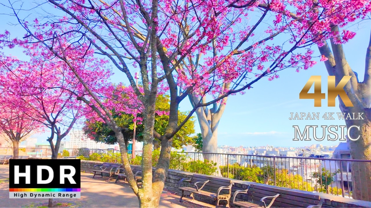 [4K 60fps HDR] 14:00 Nogeyama Park/Yokohama/Walk 2026.3.11/9℃