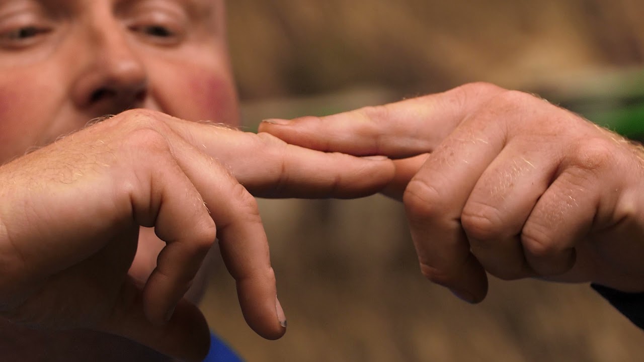 Ringers Micro Pellets