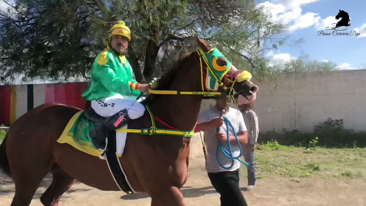 Me Bulico C Lucero vs Pico De Oro C Dorado vs Cheyenne C Santa Cruz 200v, 300 y 350v Zacatecas 2021