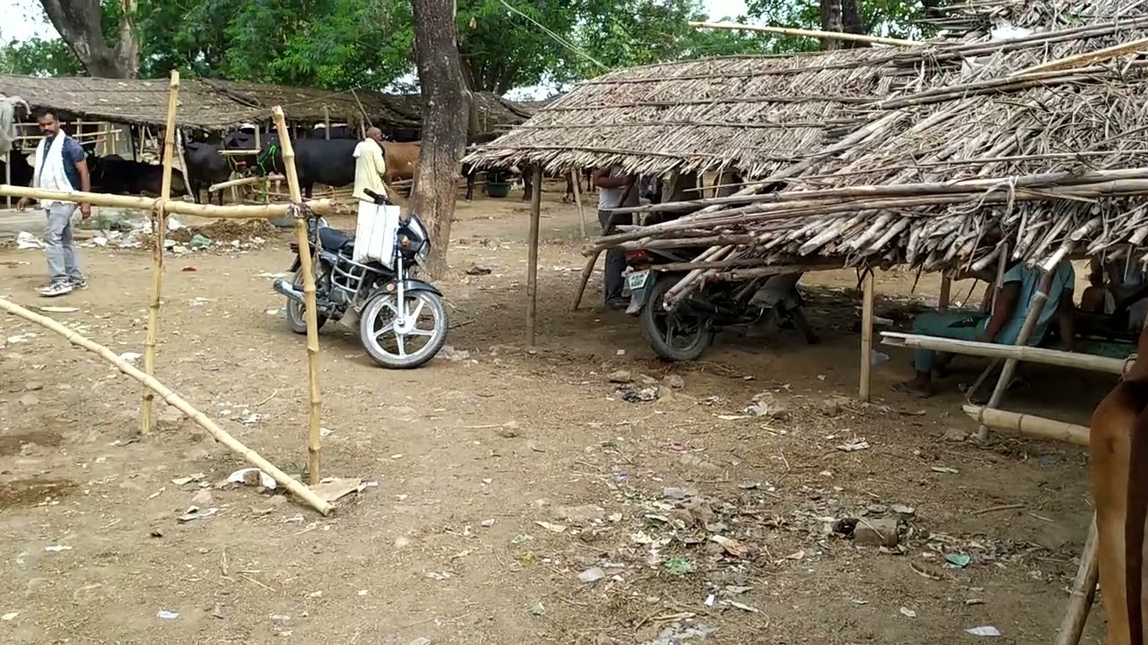 majhwari mela buxar #video