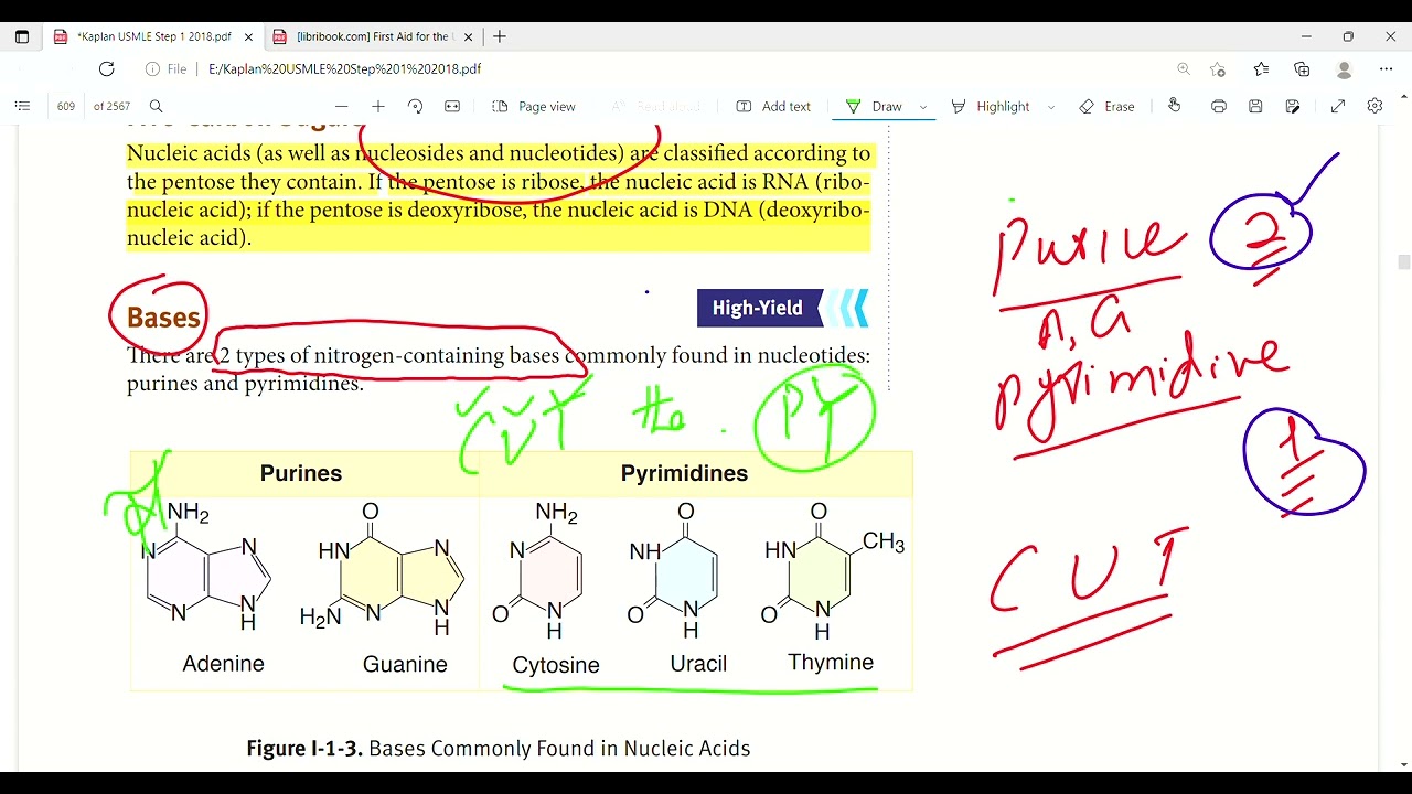 Nucleotide structure and nomenclature | Molecular biology | Biochemistry | First Aid Lectures | Lec2
