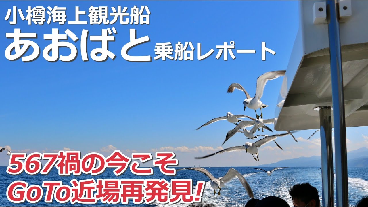 【567禍の今こそGoTo近場！】小樽海上観光船あおばと乗船レポート@令和２年の夏