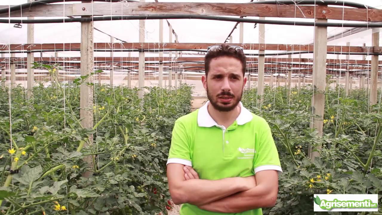 Agrisementi Open day 2016