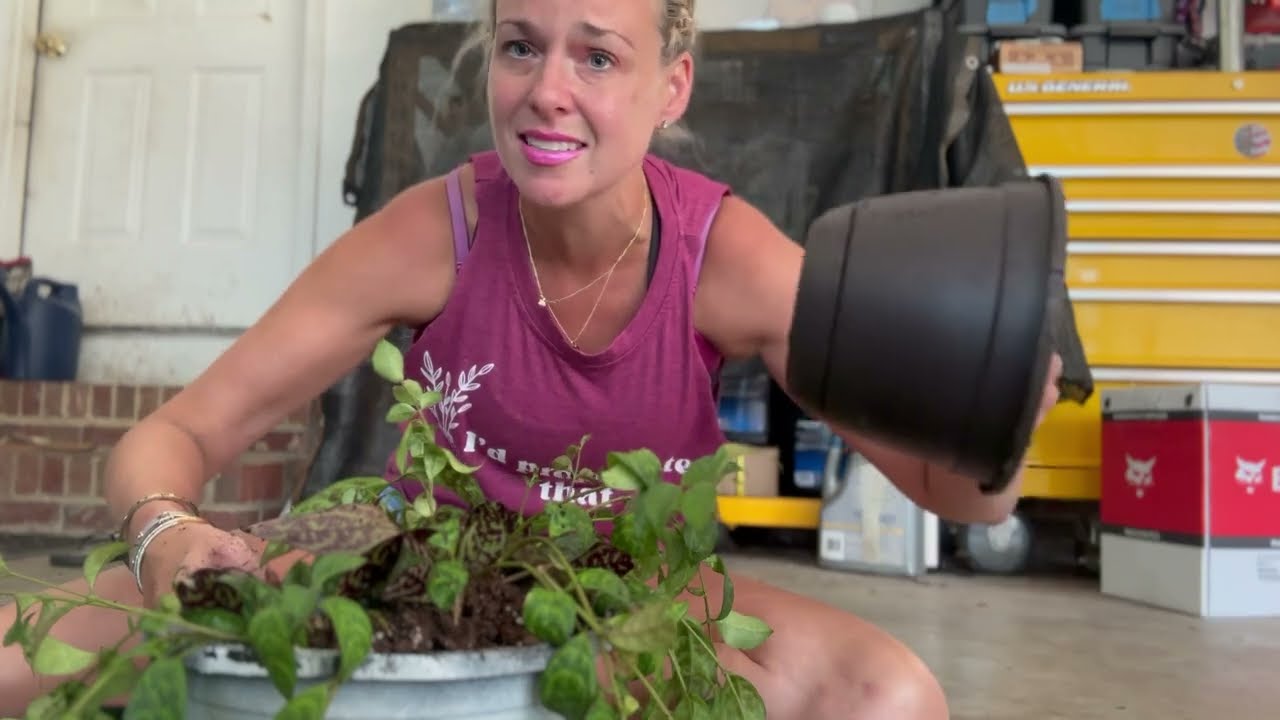 Black Pagoda Repotting: Step-by-step Tutorial ✨💄 