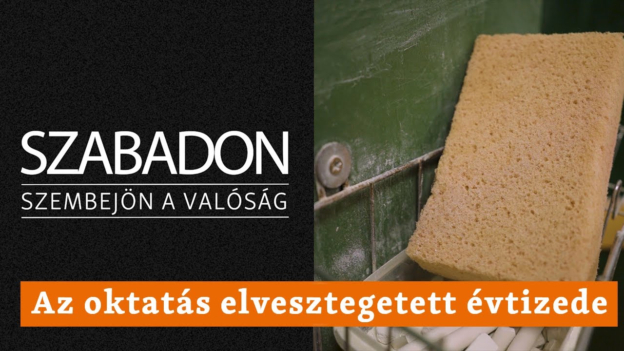 Szabadon - Az oktat&aacute;s elvesztegetett &eacute;vtizede