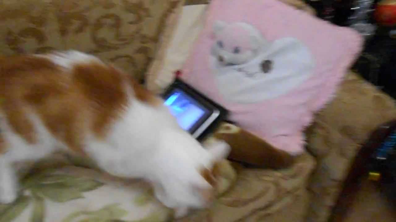 DSCN0666