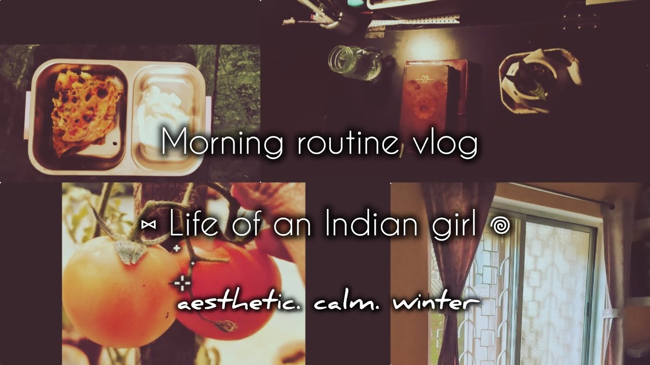 6 AM aesthetic morning routine🌅 simple living: exercising, journaling 📖 gardening 🍅..